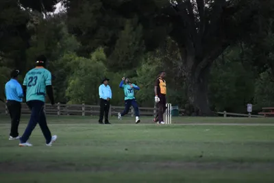 DSC_2410 (Large).JPG